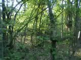 HOMEMADE GHILLIE SUIT TEST AIRSOFT SNIPER