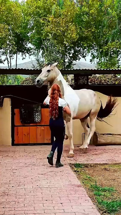 Women and animal so beautiful style walking
