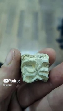 Kazı Alanında Kemik Buldum Bu Nedir Bilen Var mı? Tacikistan Panjakent Antik Kenti Kazı Alanındandır