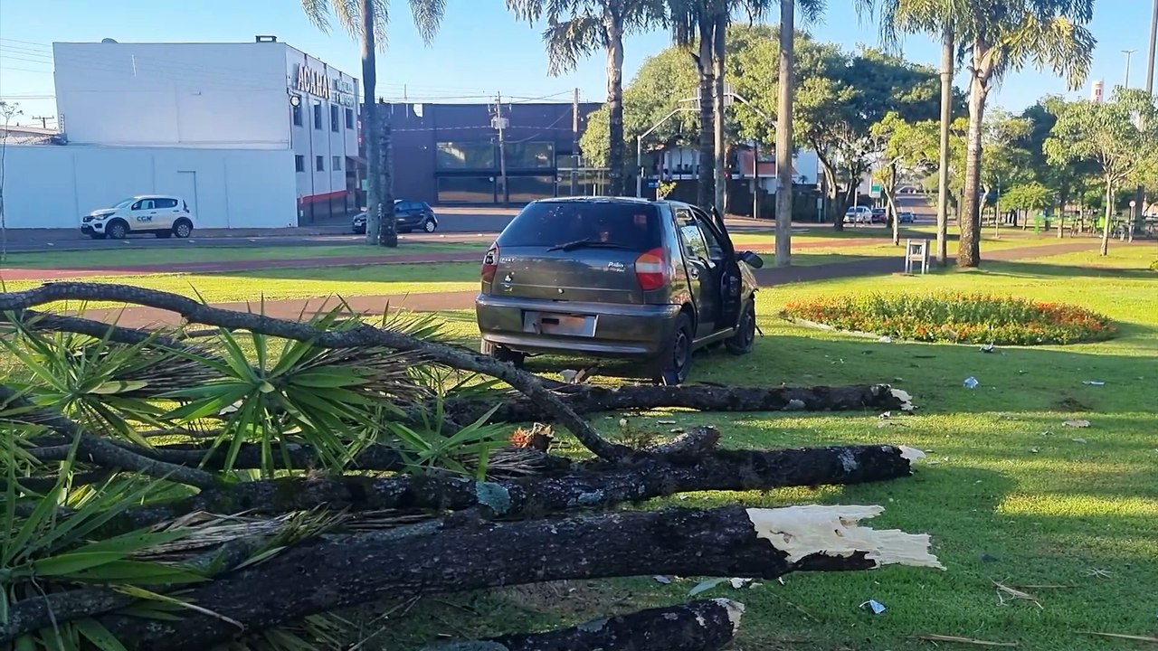Palio invade canteiro na Avenida Tancredo Neves...