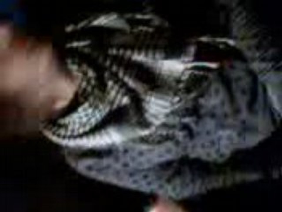 Vidéo004