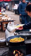 pinterestdownloader.com-1736849147.424036