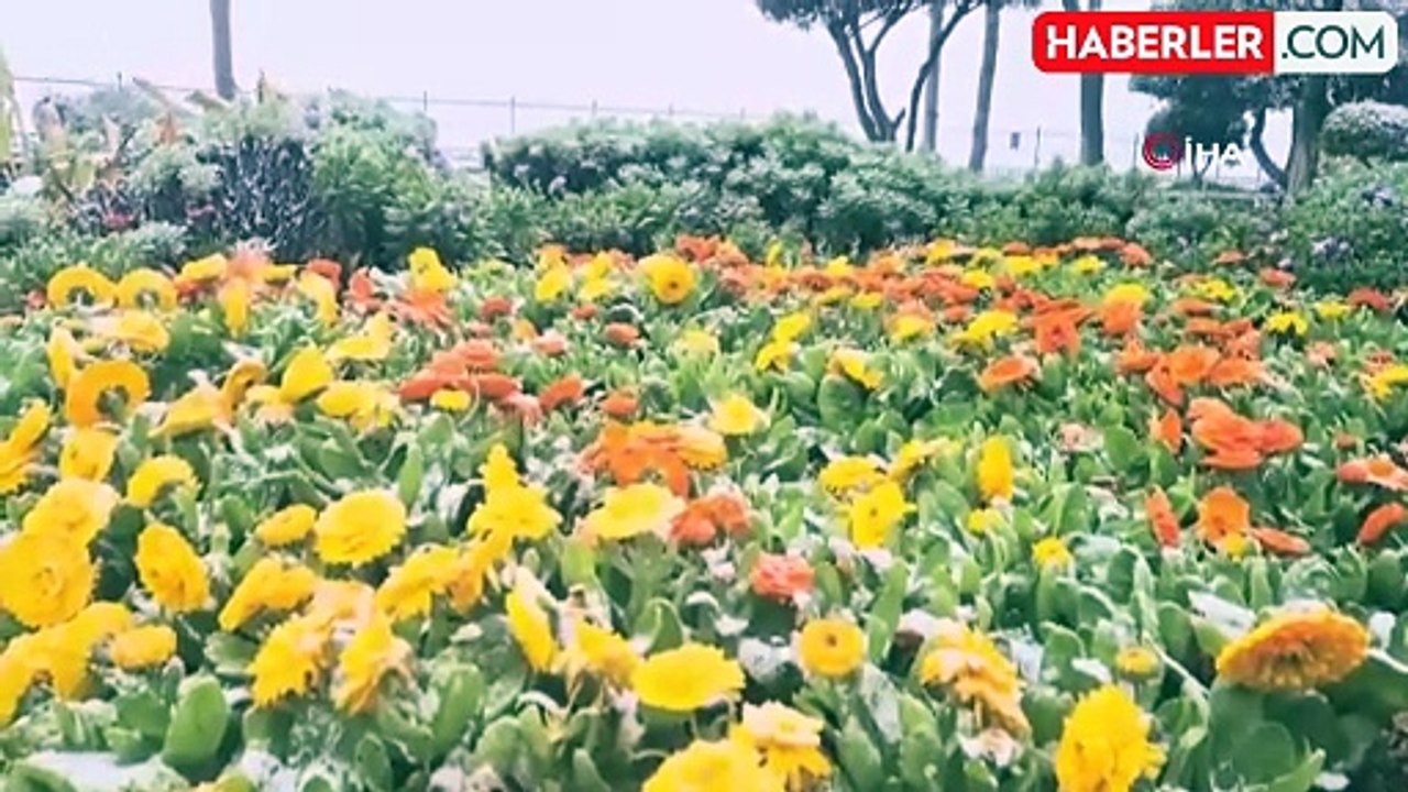 Silivri'de Kar Yağışı: Vatandaşlar Hatıra Fotoğrafı Çekildi