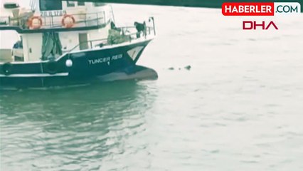 Marmara Denizi'nde can pazarı! İmdada balıkçılar yetişti