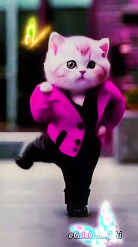 ||😻Cats Videos|😅|😍 Crazy Cute Cat Dancing 💞#cutecat #cats #cat #dancingcat #catvideos #shortfeed #viralshorts #f33#catsCrazy Cute Cat Dancing 💜😹 | #cutecat #cats #cat #dancingcat #catvideos #shortfeed #viralshorts