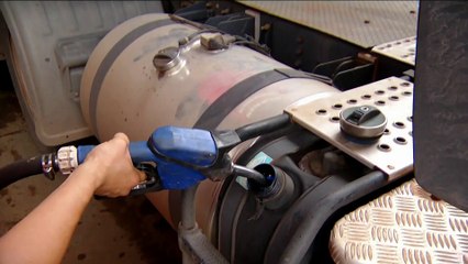 Destaques do Globo Rural, domingo, 09/02/2025