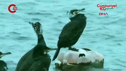 Silivri'de deniz metrelerce çekildi