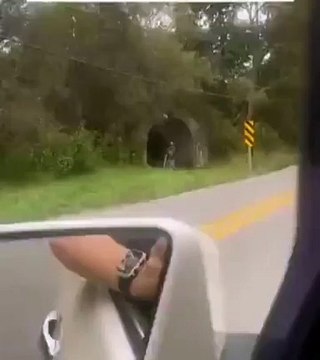 L'idiot du jour face à un nid de guêpes