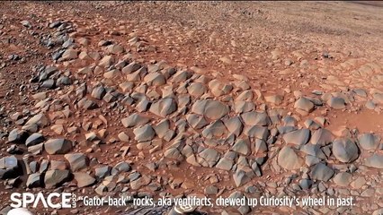 Sharp Martian Rocks Turns Curiosity Rover