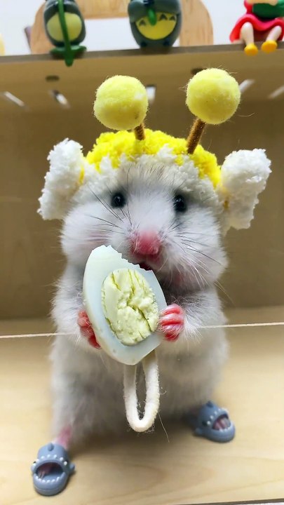 Why so cute