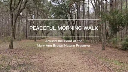 Peaceful Morning Walk Around the Pond at the Mary Ann Brown Nature Preserve (2-4-25)