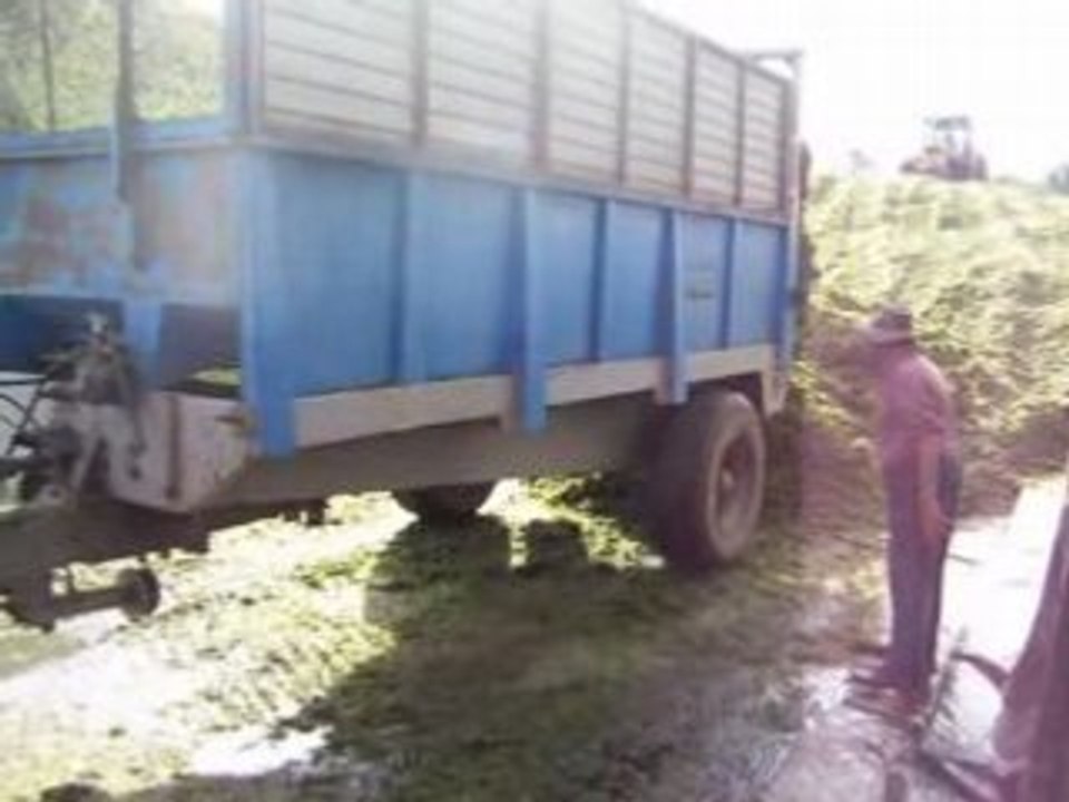 L'ensilage 2008 chez mathieu 4 !