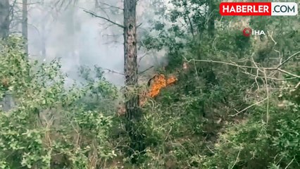 Osmaniye'de Orman Yangını Kontrol Altına Alındı