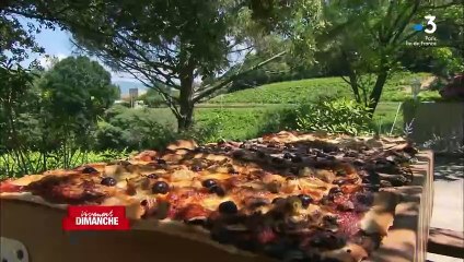 Michel Drucker dévoile des images de la maison de Mimie Mathy située à Vaison-la-Romaine dans l'émission Vivement dimanche sur France 3.
Crédit : Vivement dimanche/France 3