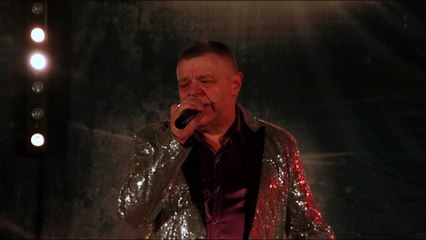 JOHNNY HALLYDAY   Que je t'aime  1971  #cover#virals#daniellecavorzin