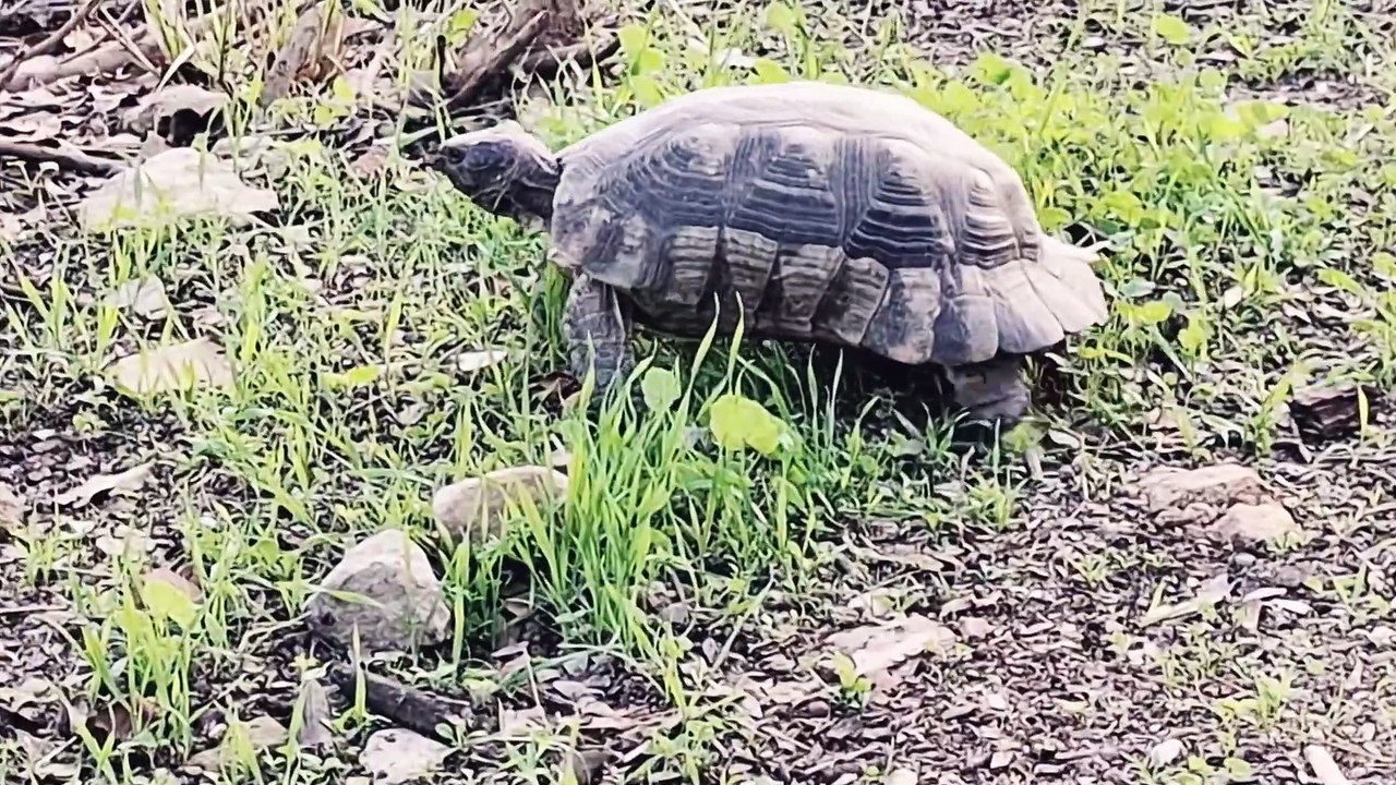 nahe Θησείο fand sich eine Nische, die war wie der Winkel in Wels da