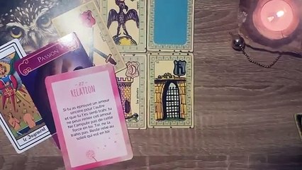 ♑️ CAPRICORNE • FÉVRIER 2025 • Y a pas de hasard 😉 • LE TAROSCOPE DU MOIS