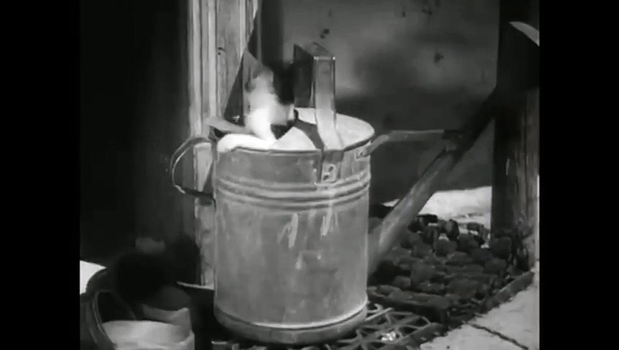 Auf der Alm, da gibt's koa Sünd (1950)