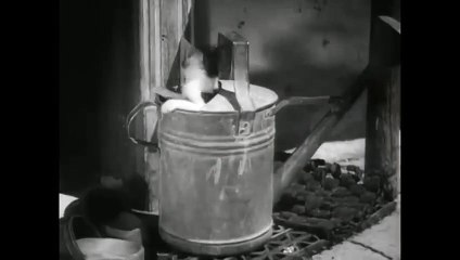 Auf der Alm, da gibt's koa Sünd (1950)