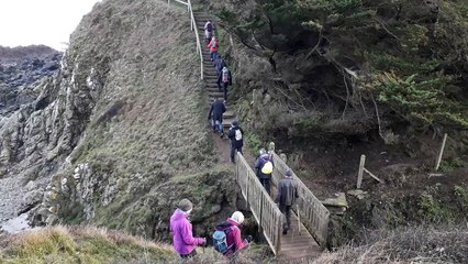 Rando/resto à Plangouenoual ... de la plage de Jospinet à Dahouët (060225)
