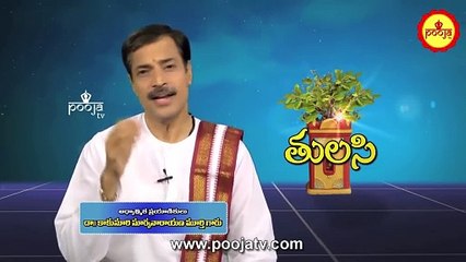 తులసి కథ...ప్రాధాన్యత ఏమిటో తెలుసా ? | Tulasi Pooja | Tulasi Katha | Tulasi Benefits | PoojaTVTelugu