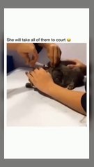 Drone enslaves dog for transportation