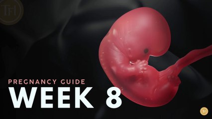What to Expect at Week 8 | Week by Week Pregnancy Guide