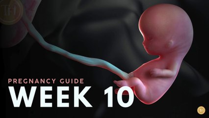 What to Expect at Week 10 | Week by Week Pregnancy Guide