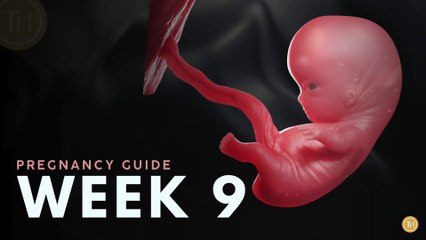 What to Expect at Week 9 | Week by Week Pregnancy Guide