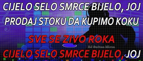 Cijelo selo, šmrče bijelo - DJ Krmak (uživo karaoke)