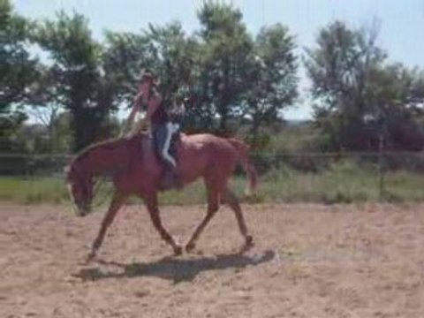DRESSAGE- 1er mai - Ecuries des Moulières
