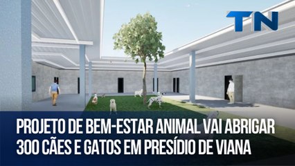 Projeto de Bem-Estar Animal vai abrigar 300 cães e gatos em presídio de Viana