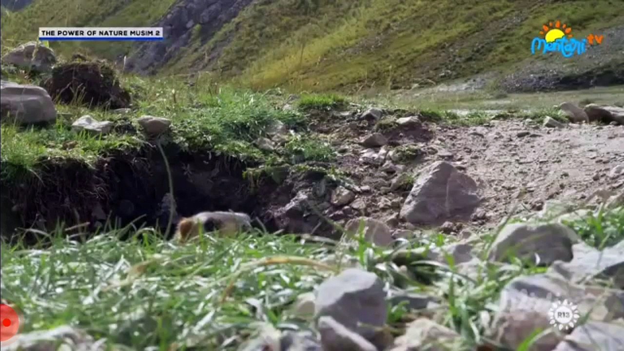 The Power of Nature
