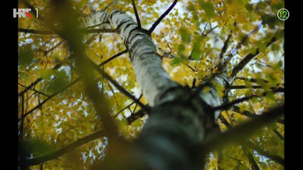 Sram - Epizoda 07 - Hrvatska serija