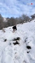 Hiking fail: Girl struggles on hiking adventure due to inappropriate shoes
