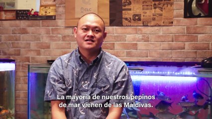 Aventuras gastronómicas: pepino de mar