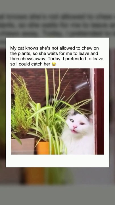 New crime unlocked