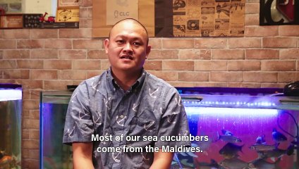 Adventurous bites: This sea cucumber is a delicacy