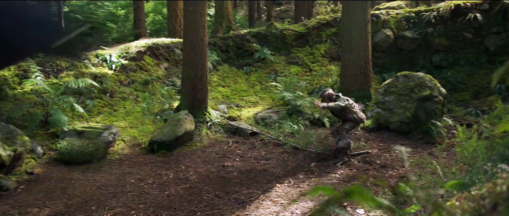 Drachenzähmen leicht gemacht: Der Bestseller bekommt dieses Jahr seine Live-Action-Umsetzung