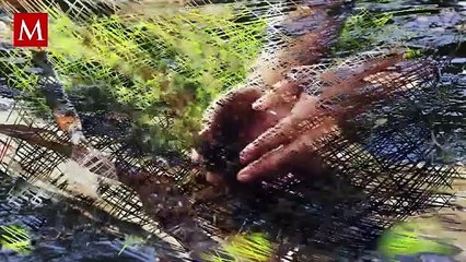 Esta es la mejor manera de tirar el aceite de cocina y no descuidar tus tuberías