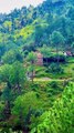 ,,,,,,,,,Beauty of hilly area,,,,,,,