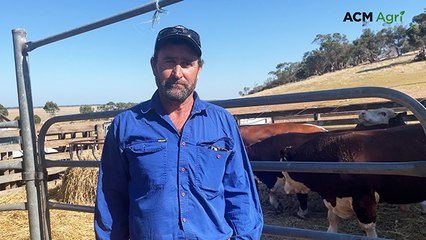 Stock Journal Beef Week day three, 2025