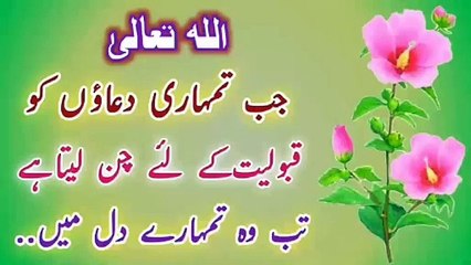 Allah Se Manga Karo💯! Urdu Islamic quotes💥! Islamic YouTube🔥! Best Urdu quotes🔥! ISLAMIC URDU MEWAT