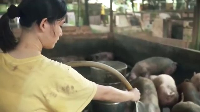 The Tigr Factory Film Explained in Hindi Urdu Summarized हिन्दी / Movie In Hindi Explain Plot