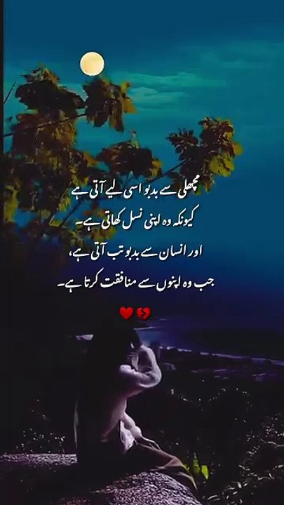 Knowledge word's