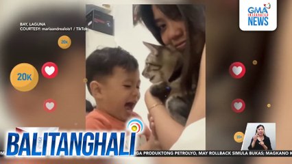 Reaksiyon ng bata sa hininga ng alagang pusa, kinatuwaan online | Balitanghali