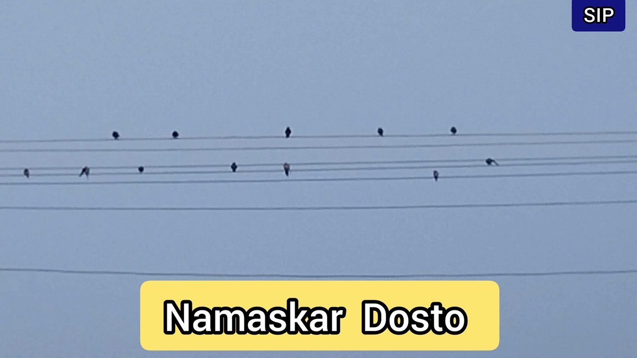 Birds Karnataka