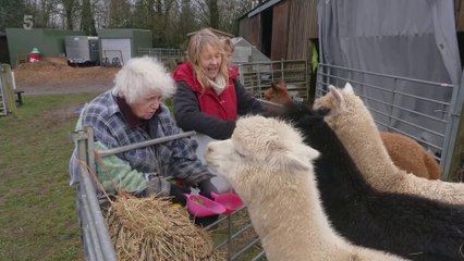 The Yorkshire Vet At Home With The Greens S01E02