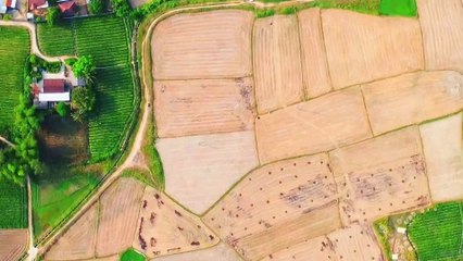 Padiku - egocreative - Indie-Inspired Soft Rock