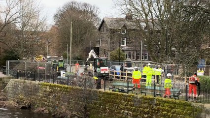 Otley: 180-year-old tree chopped down for new river crossing in Leeds despite efforts of protestors